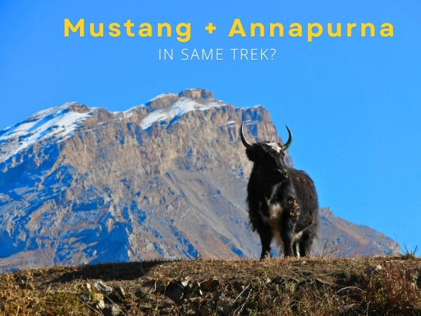 Can Upper Mustang Trej be combined with Annapurna tre