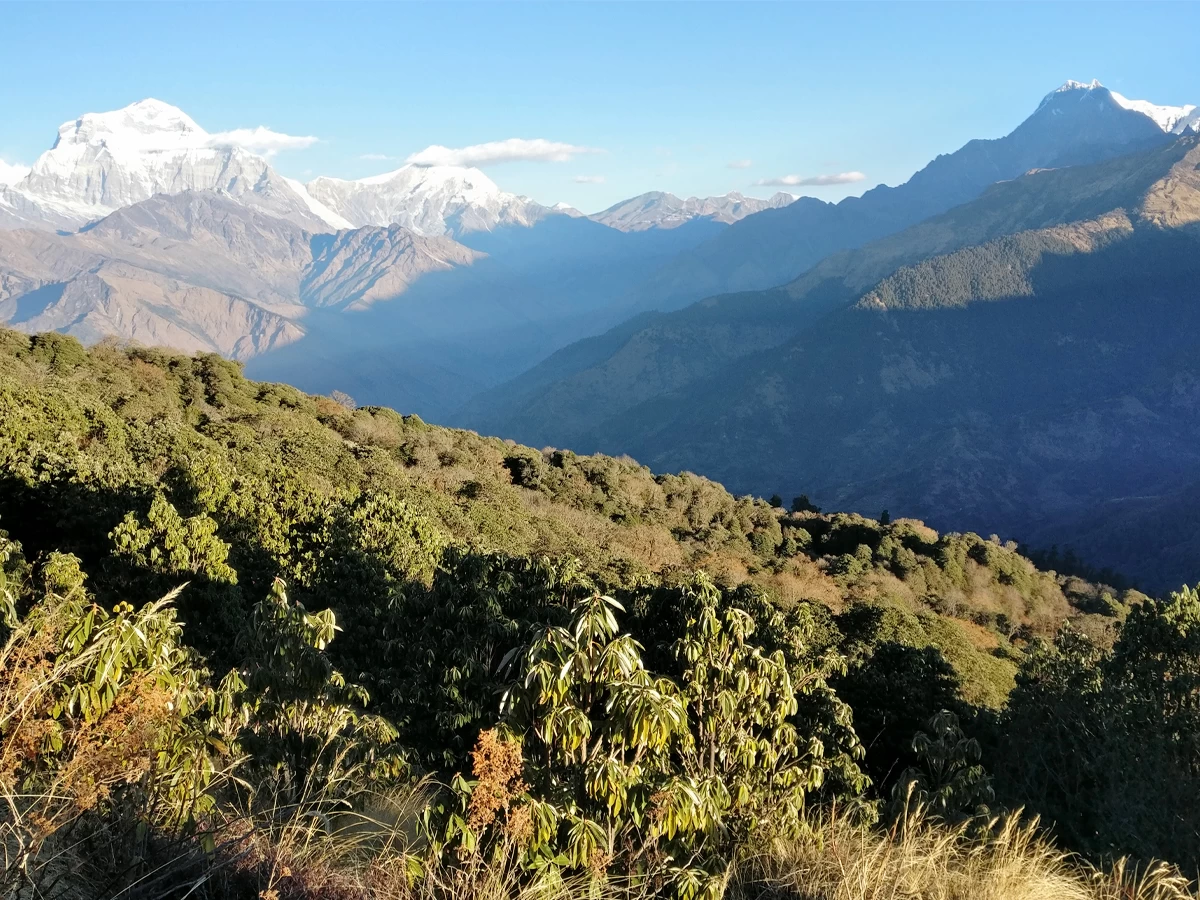 Ghorepani - Poonhill - Ghandurk Trek