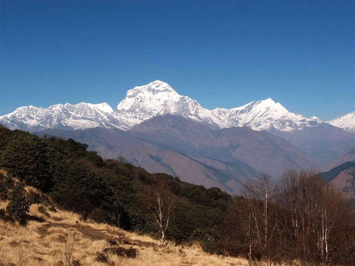 Khayer Lake and Khopra Ridge Trek
