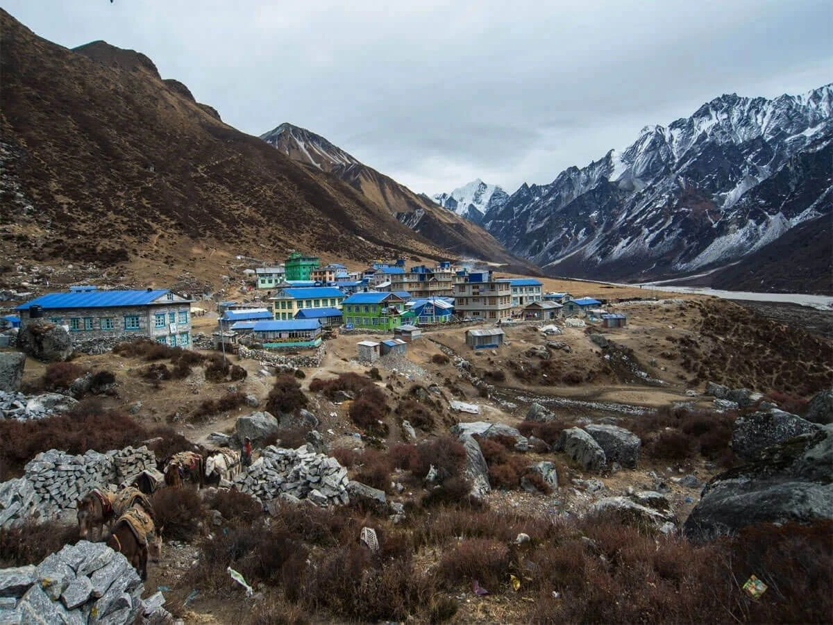 Short langtang Valley Trek