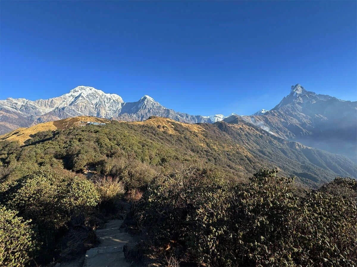 Mardi Himal Trek