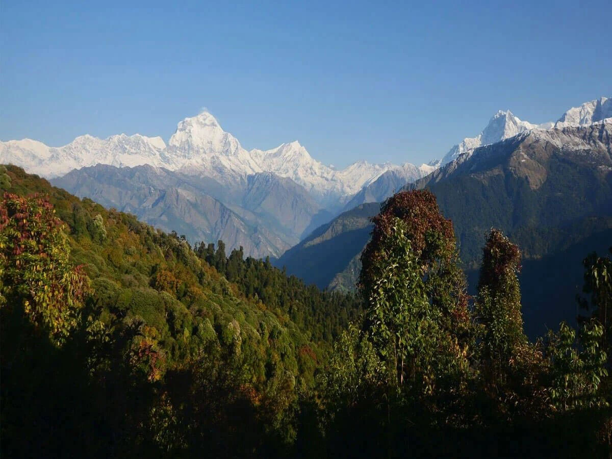Ghorepani Poon Hill with Mardi Himal Trek s