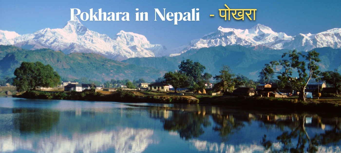 Pokhara in Nepali पोखरा