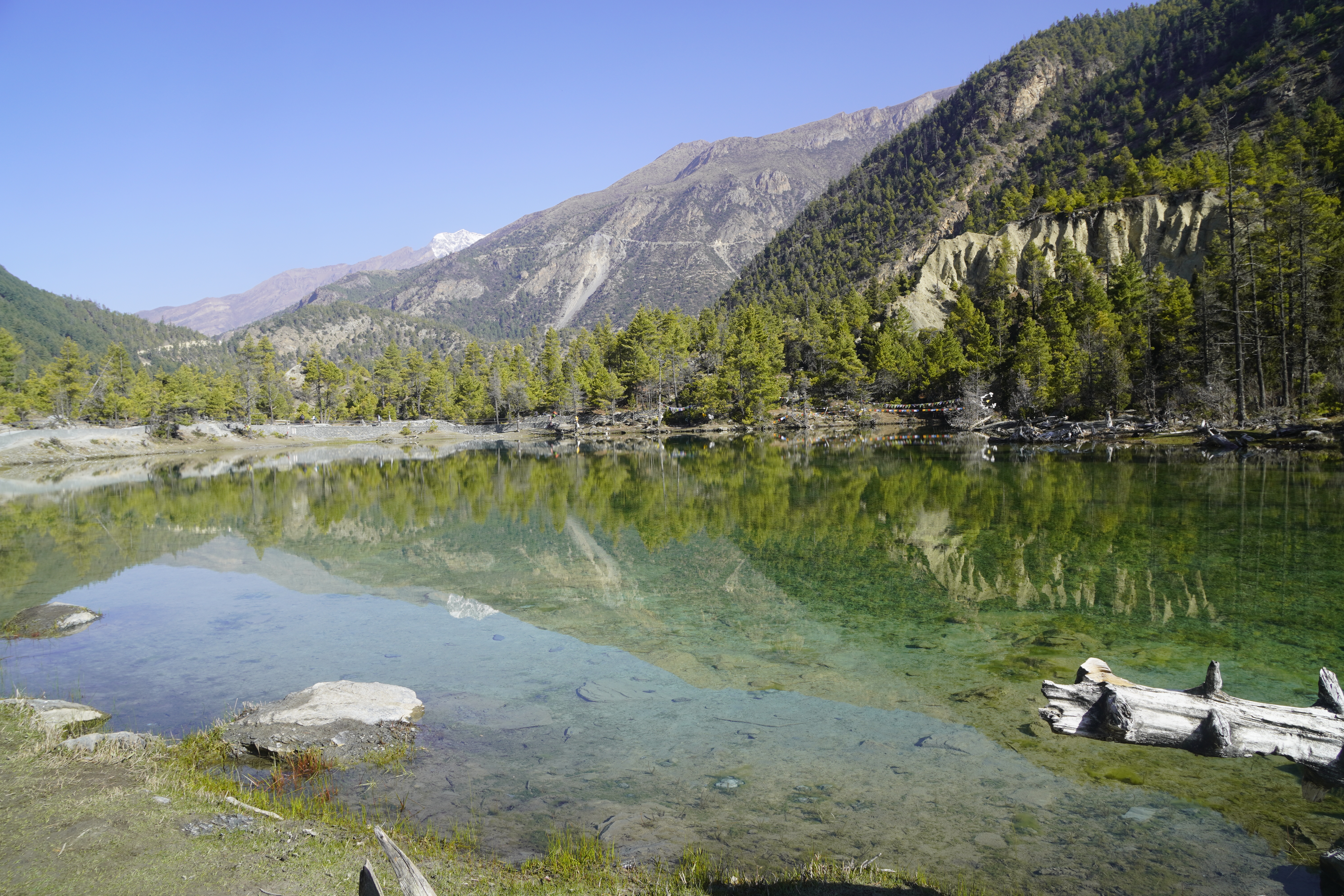 Green lake