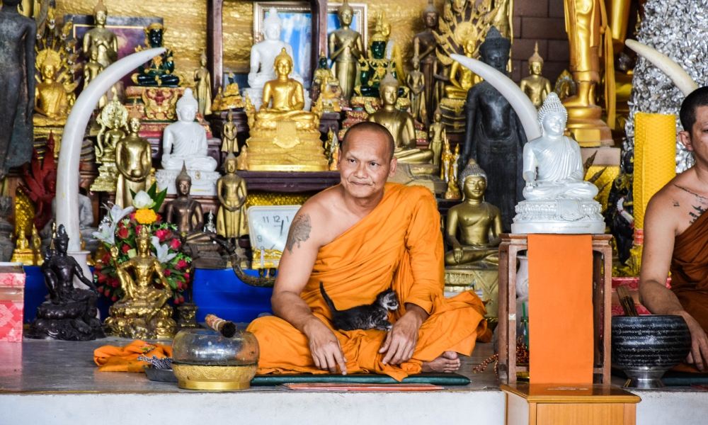 Buddha Birthday Celebration