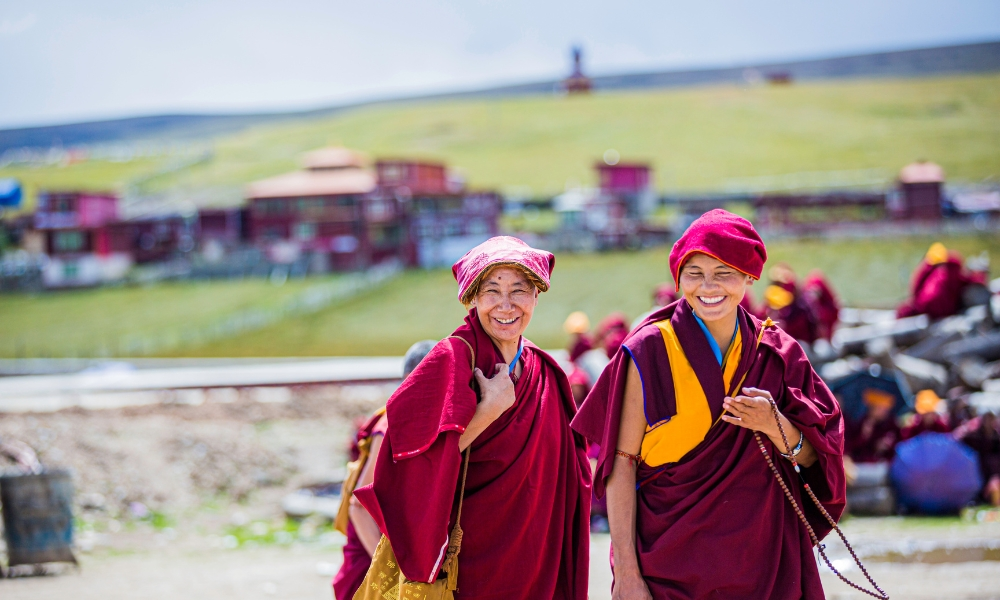 Buddha jayanti in 2026