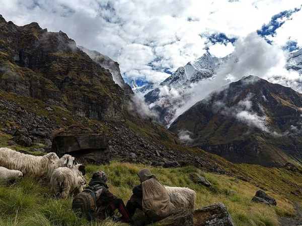 Annapurna Base Camp Trek In July