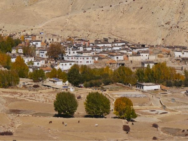 dhakmar-village