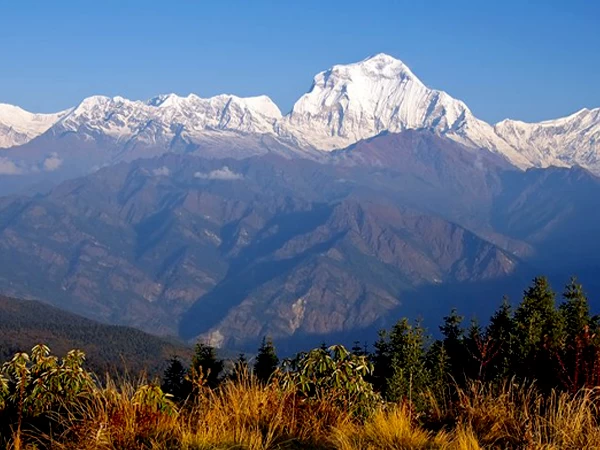 Ghorepani Poonhill – Short Trek